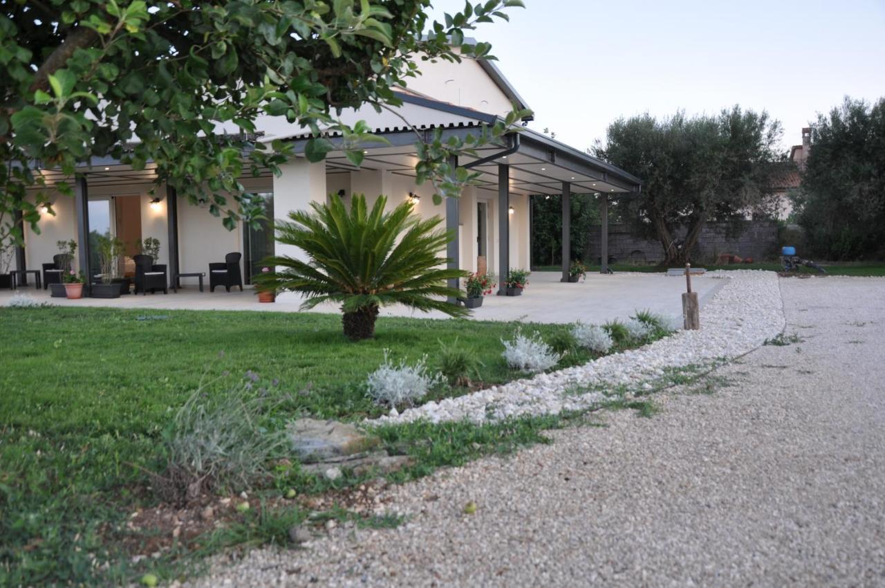 Clori Villa Pescia Romana Exteriör bild